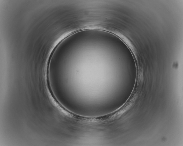 X0000097830957200803141142