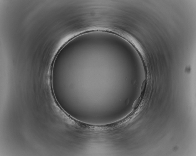 X0000097830958200803141142