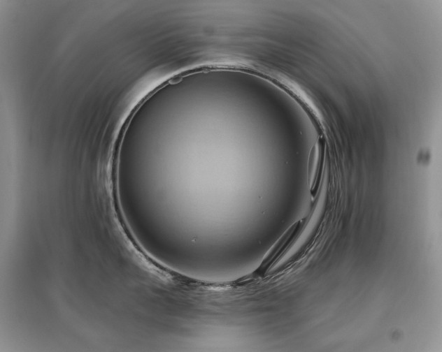 X0000097830959200803141142