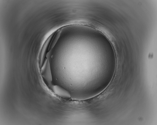 X0000097830960200803141142
