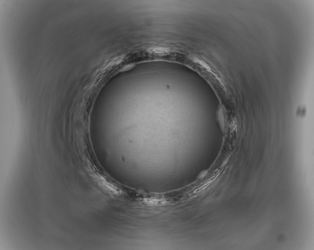 X0000097830961200803141142