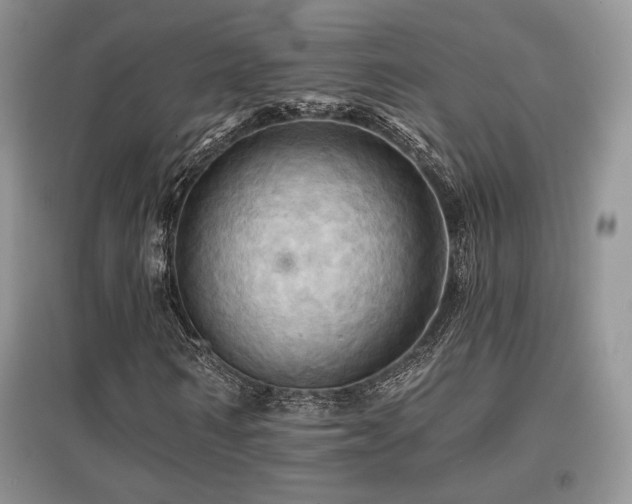 X0000097830962200803141142