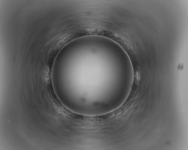 X0000097830963200803141142