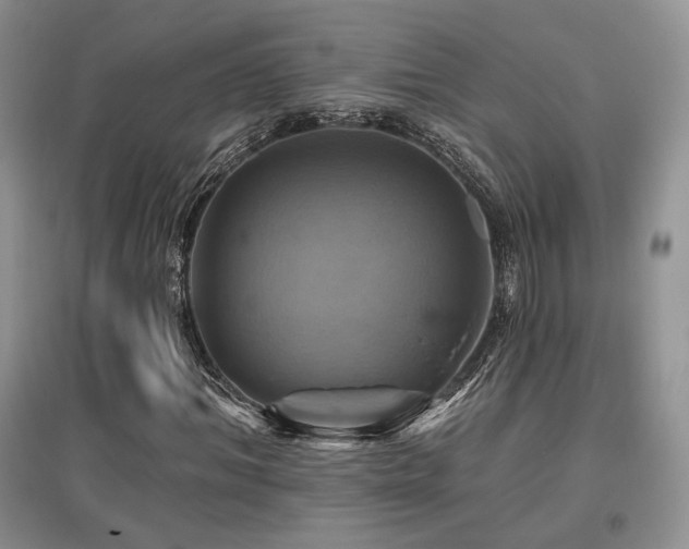 X0000097830964200803141142