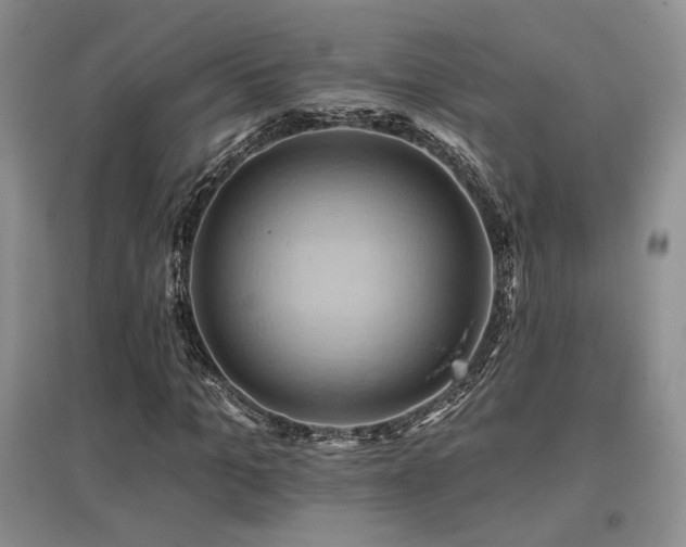 X0000097830965200803141141