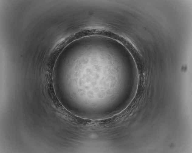 X0000097830967200803141141