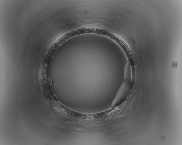 X0000097830968200803141141