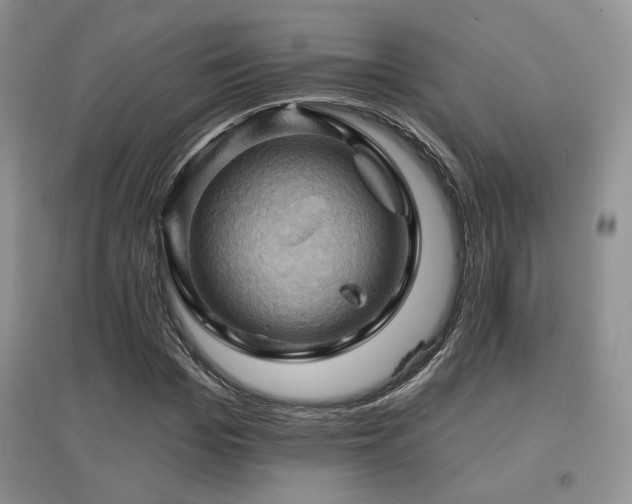 X0000097830969200803141141