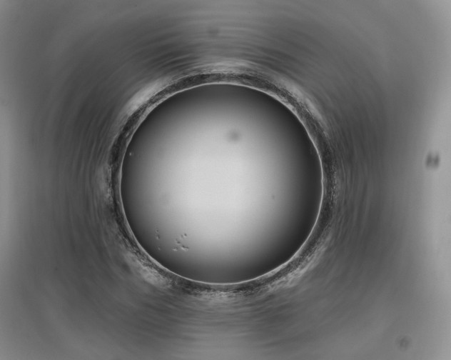 X0000097830970200803141141