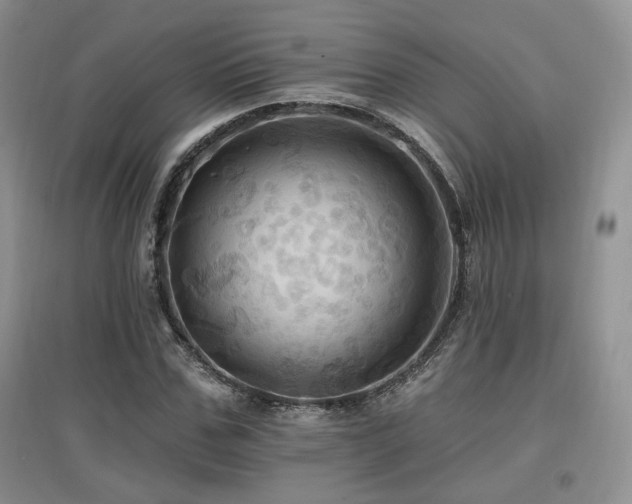 X0000097830971200803141141