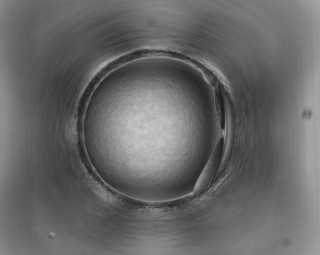 X0000097830976200803141141