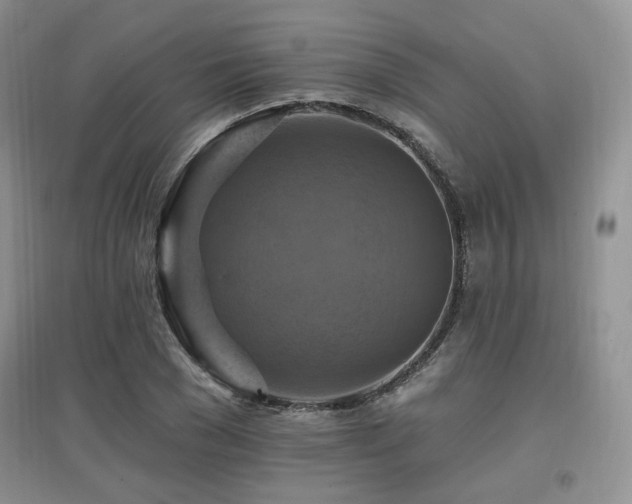 X0000097830977200803141141