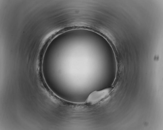 X0000097830979200803141141