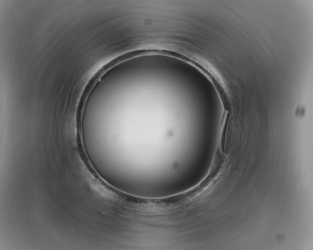 X0000097830980200803141141