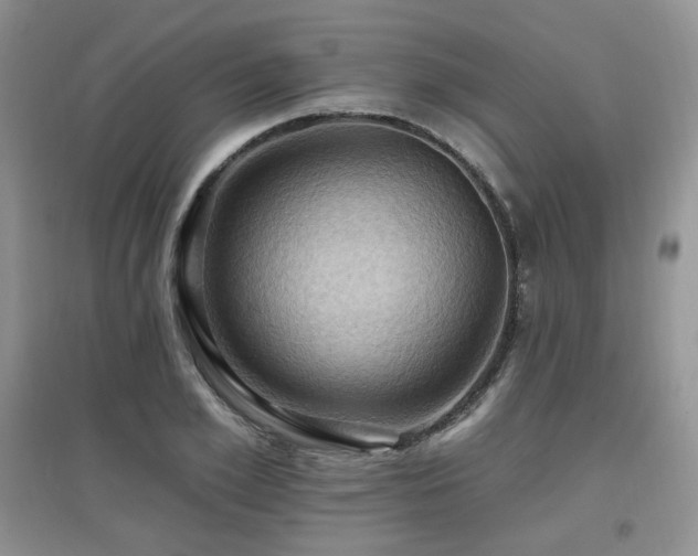 X0000097830981200803141141