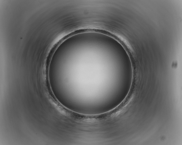 X0000097830982200803141141