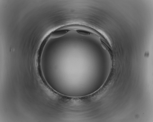 X0000097830983200803141141