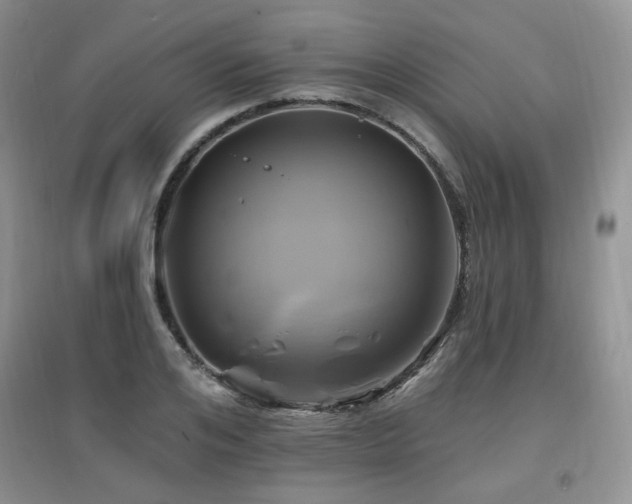 X0000097830984200803141141