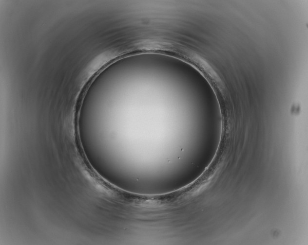 X0000097830986200803141141