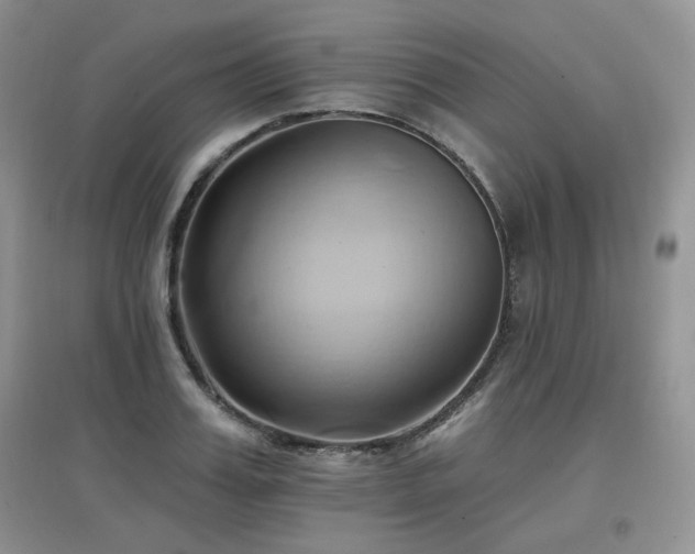 X0000097830987200803141141