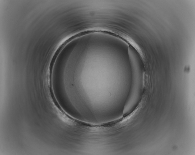 X0000097830988200803141141