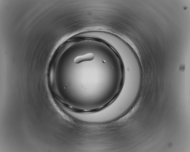 X0000097830989200803141141