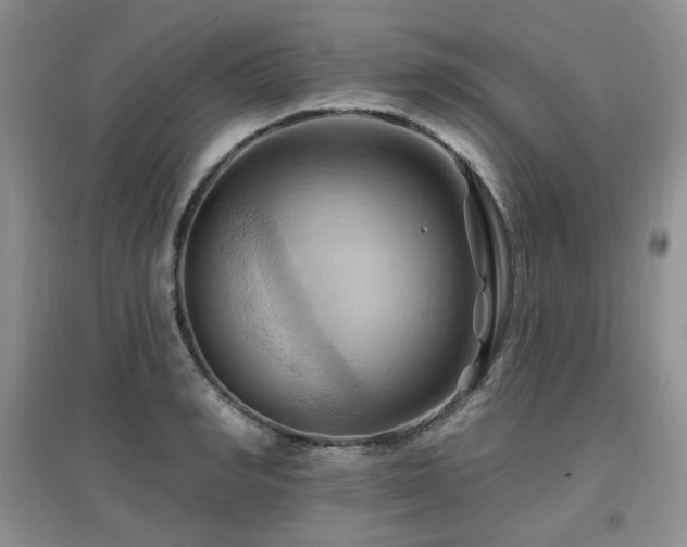 X0000097830990200803141141