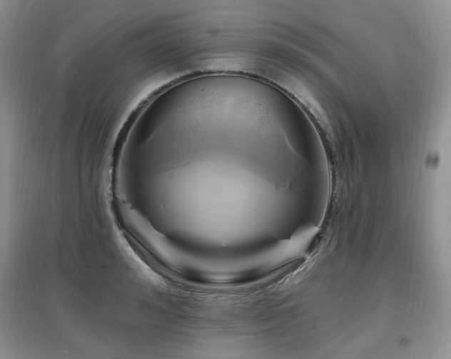 X0000097830992200803141141