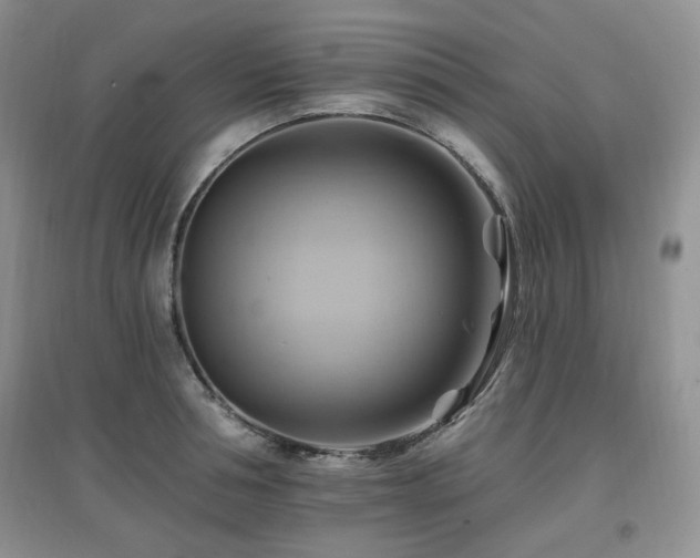 X0000097830994200803141141