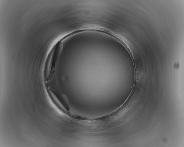 X0000097830995200803141141