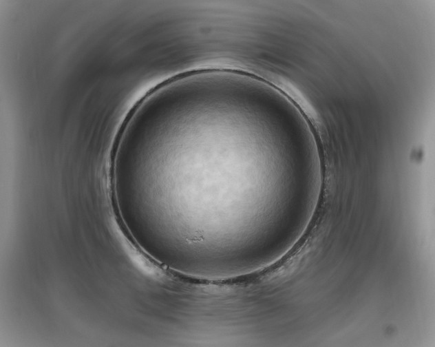 X0000097830996200803141141