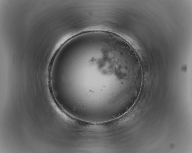 X0000097830998200803141141