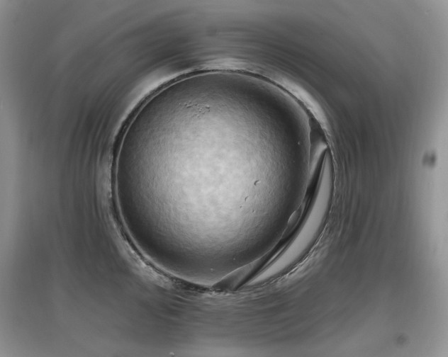 X0000097831000200803141141