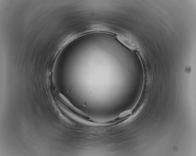 X0000097831001200803141141