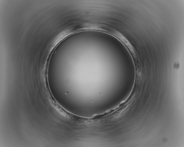 X0000097831002200803141141
