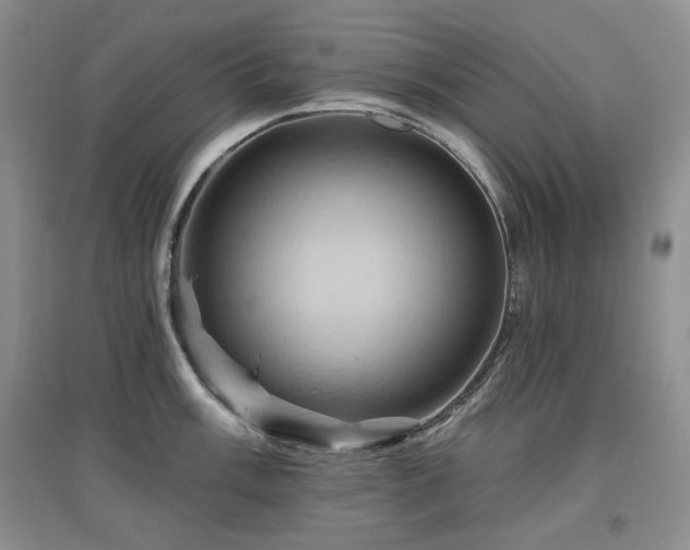 X0000097831003200803141141