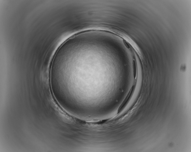 X0000097831004200803141141