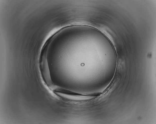 X0000097831005200803141141