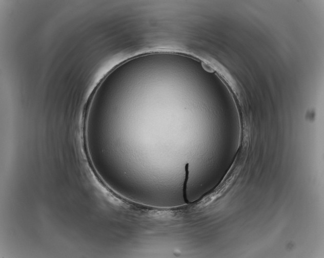 X0000097831006200803141141