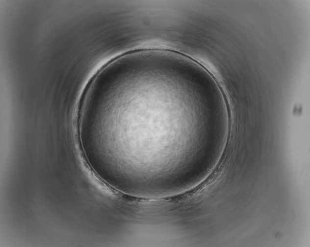 X0000097831008200803141141