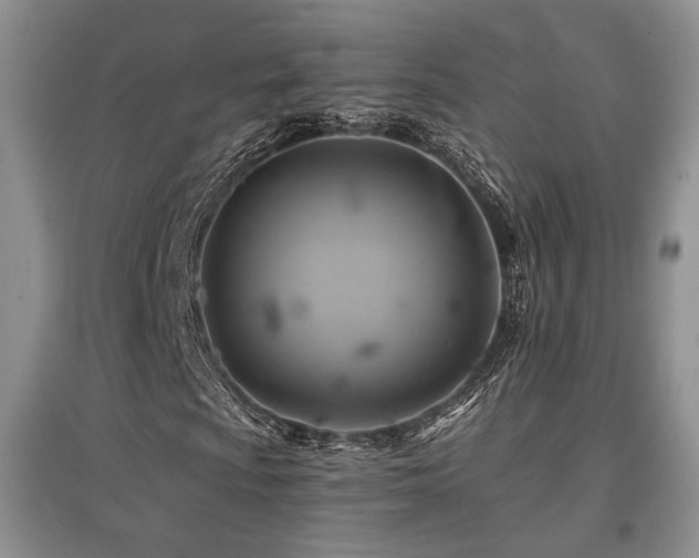 X0000097831009200803141140