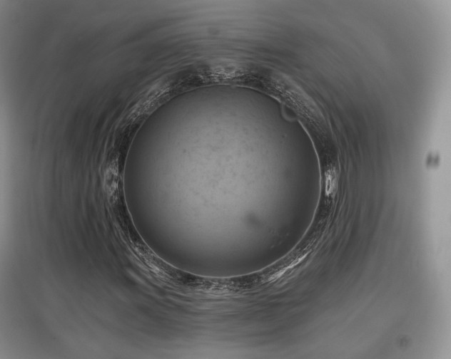 X0000097831011200803141140