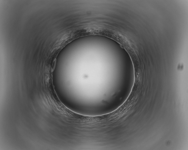 X0000097831012200803141140