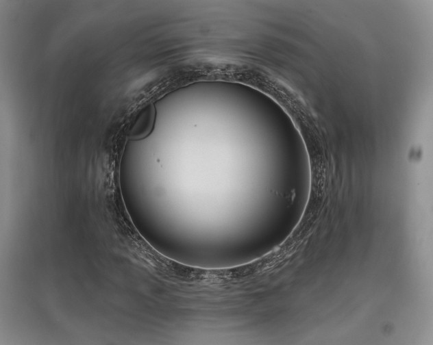 X0000097831013200803141140