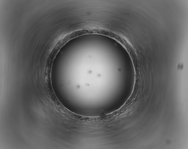 X0000097831016200803141140