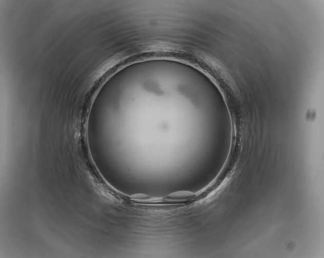 X0000097831017200803141140