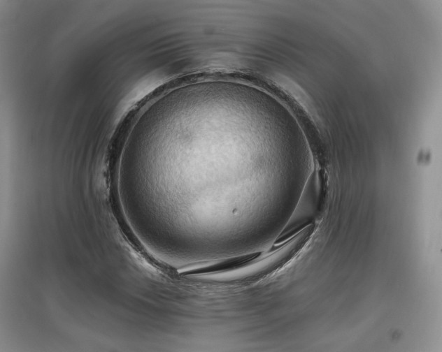X0000097831018200803141140