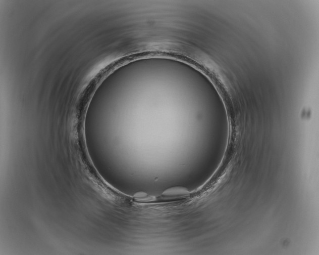 X0000097831019200803141140