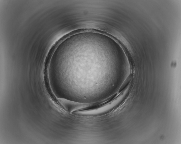 X0000097831020200803141140