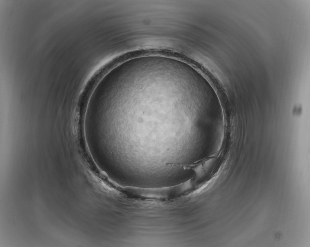 X0000097831021200803141140